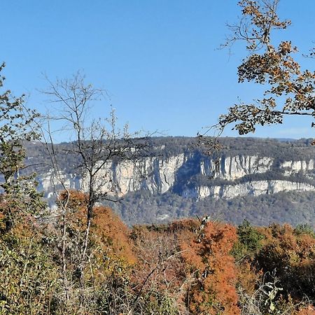 Gite Des 2 Lions Murs-et-Gelignieux Экстерьер фото